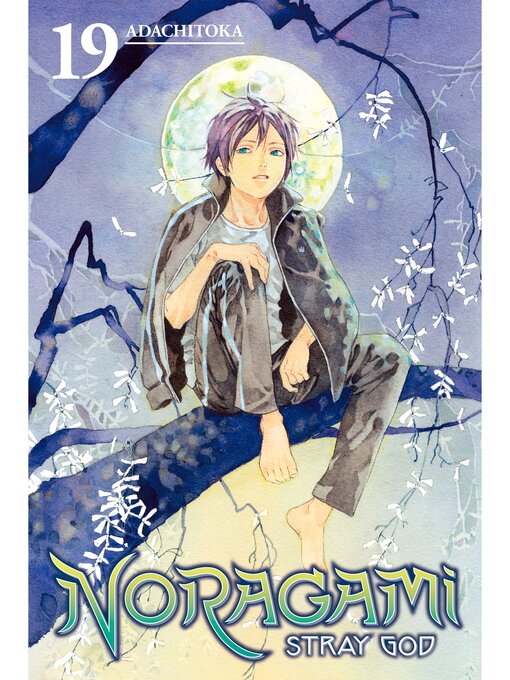 Title details for Noragami: Stray God, Volume 19 by Adachitoka - Available